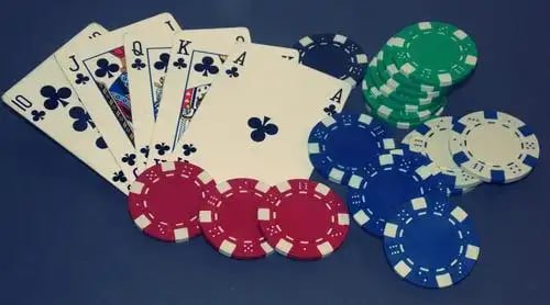 Dashboard akun sbobet live menampilkan statistik Gaple, riwayat permainan, dan manajemen saldo